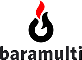 Baramulti Group