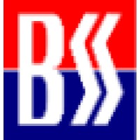 BSS Recruitment Consultant