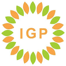 PT IGP Internasional