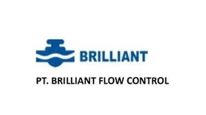 PT Brilliant Flow Control
